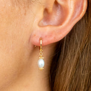 Boucle oreille plaque or leopold blanc unite