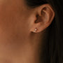Boucle oreille plaque or arrakis unite