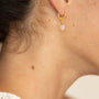 Boucle oreille plaque leo rose unite