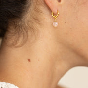 Boucle oreille plaque leo rose unite