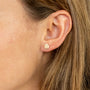 Boucles oreilles plaque or aglae