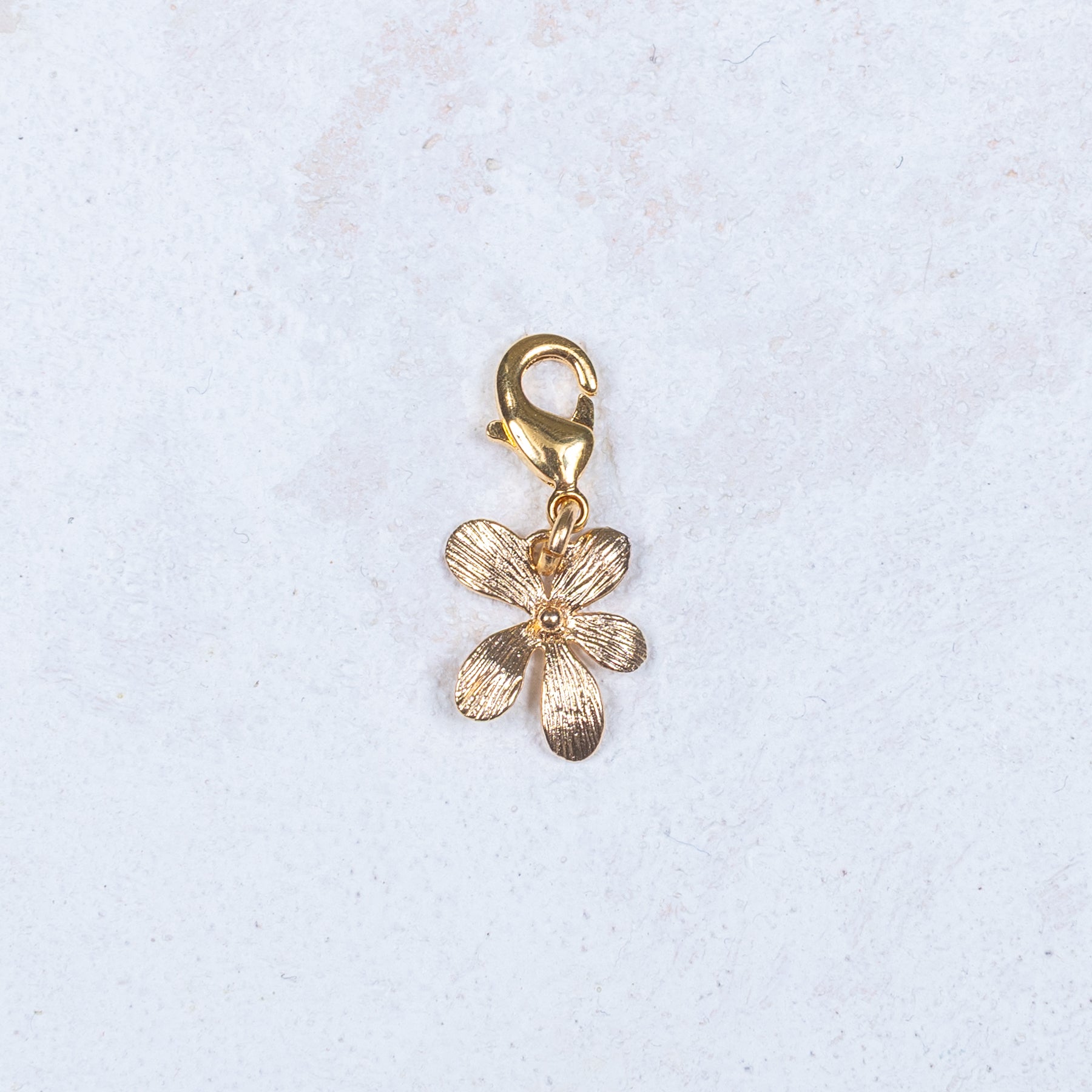 Charm Cassiopée