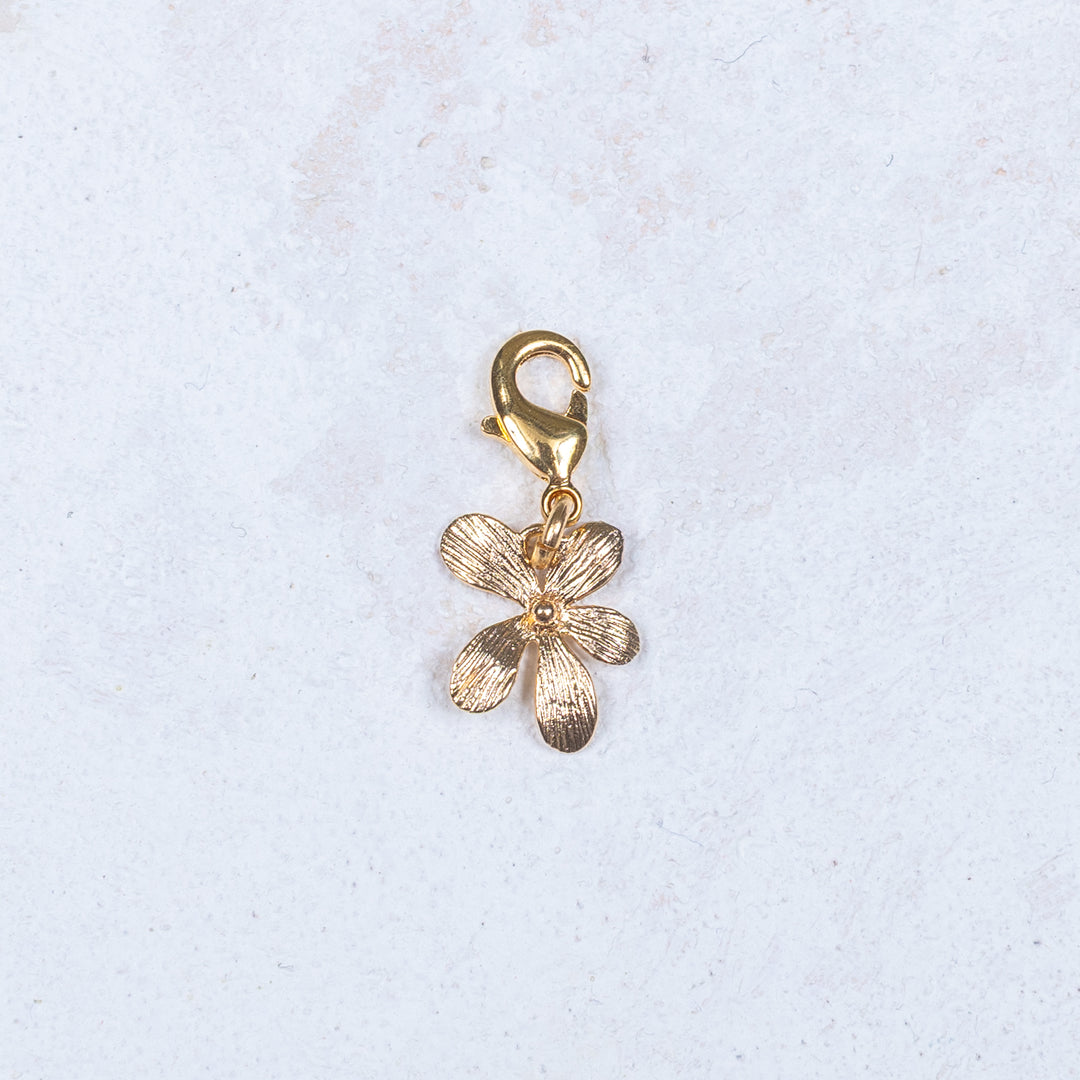 Cassiopée Charm
